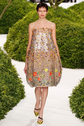 Bette Franke for Couture shows Spring 2013 Dior